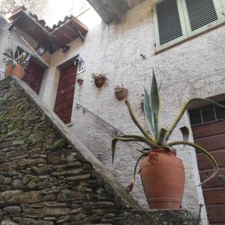 Le Prunache - Stazzema - 9