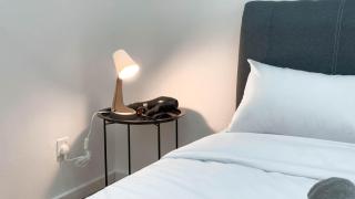 Comfy Terrace House Homestay near Zoo with Netflix - Taiping - 5