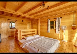 abigail get away home - Siolim - 9