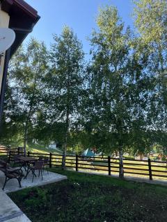 House Durmitor - Žabljak - 7