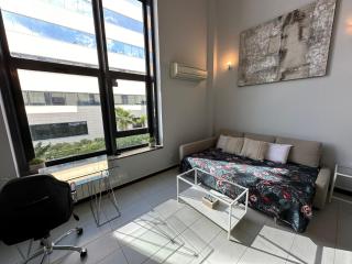 Lujoso Loft La Moraleja - 2