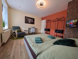 Komfortzimmer Waldheim - Waldheim - 5