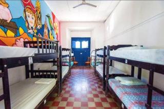 White Rabbit Hostal - Granada - 9