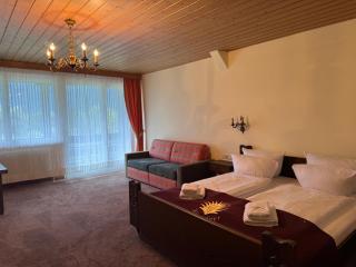 Hotel Kürschner - Kötschach-Mauthen - 5