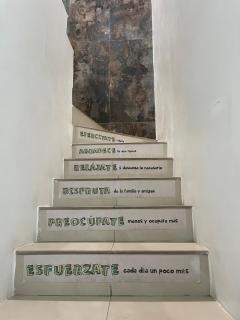Elegante casa en Guayaquil con seguridad privada - San Guillermo - 6
