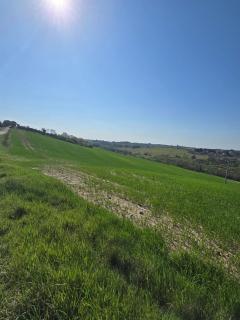 Casale Demilca - Marliano - 9