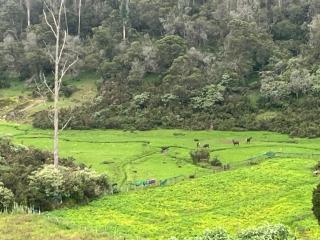 REHMANS HOMESTAY - Ooty - 9