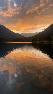Mes petits nids - Champex - 8