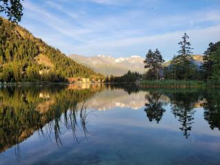 Mes petits nids - Champex - 9