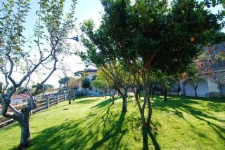 Club Villamar - Wilma - 5