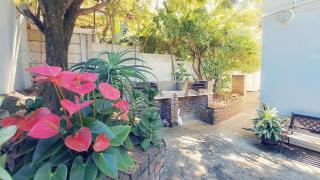 House of Grace Apt - East London - 4