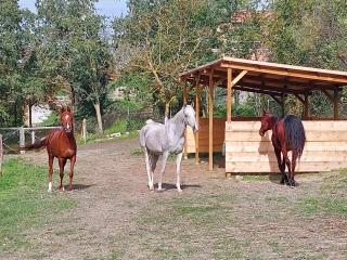 B&B di Paola e Luca - 1