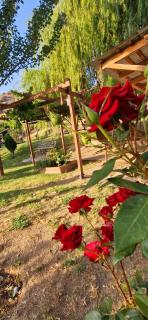 GreenField Resort - Yeghegnadzor - 7