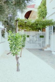 Citrus & Sun Central 2BR Apt with Private Garden - Paphos - 2