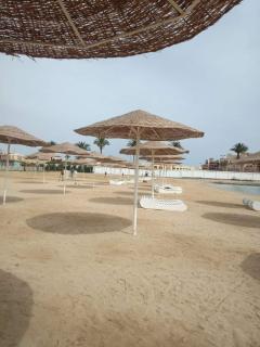 Scandic Resort in Hurghada, EGYPT - Hurghada - 3