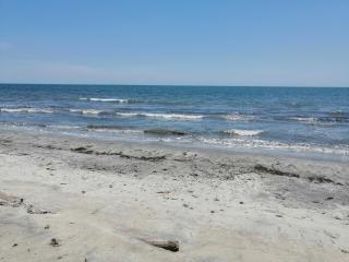 El Refugio del Caiman by AMAUNA - 3