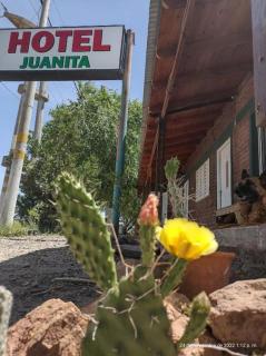 Hotel Juanita - Puelches - 8