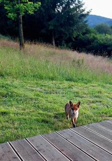 Spokojnia Dom Wiejski - 7
