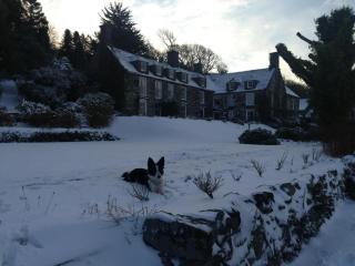 Maes Y Neuadd Country House - Talsarnau - 5