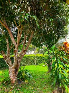 Casa Campo San Miguel - 2