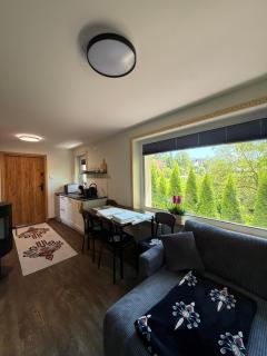 Piękne apartamenty z widokiem na góry , Sauna, kominek, darmowy parking , 5min od Zakopanego - Biały Dunajec - 8