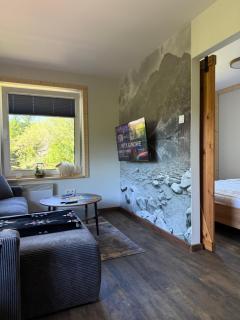 Piękne apartamenty z widokiem na góry , Sauna, kominek, darmowy parking , 5min od Zakopanego - Biały Dunajec - 0
