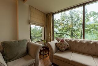 Pine Wood 2BHK Apartment Close to Naini Lake - Nainital - 1
