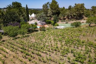 Villa Trullo Lumise by Villa Plus - Martina Franca - 3