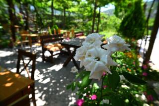 Kulla e Vjeter (Bar Restaurant, Guesthouse, Parking and Camping) - Koman - 3