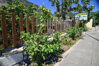 Kulla e Vjeter (Bar Restaurant, Guesthouse, Parking and Camping) - Koman - 8