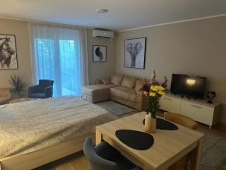 Apartmani Porta Infinitas - Vrnjačka Banja - 7