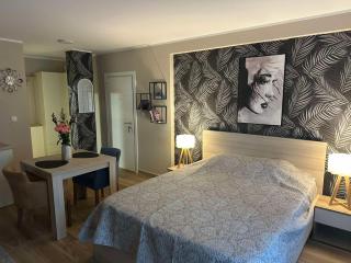 Apartmani Porta Infinitas - Vrnjačka Banja - 8