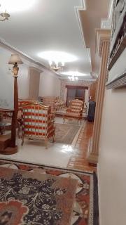 شقة مفروشة للايجار - Alessandria d'Egitto - 3