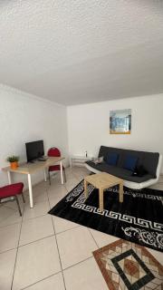 Ferienwohnung 1 Souterrainfenster - Hannover - 2