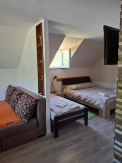 Apartmani Petar - Mokra Gora - 4