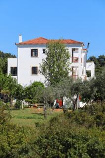 O Ampelonas tou kyr Giorgou - 6