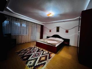 Casa cristina - Gura Humorului - 1