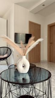 Aelia mare - Ofrinion - 8