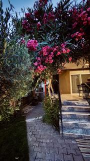 Aelia mare - Ofrínion - 3