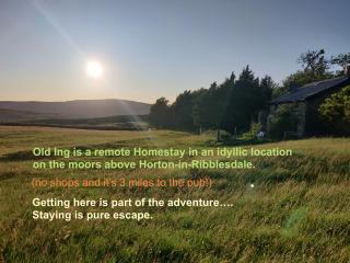 Old Ing - Horton in Ribblesdale - 9