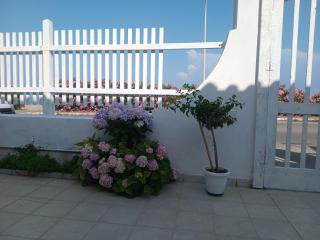 Le Ortensie - Milazzo - 4