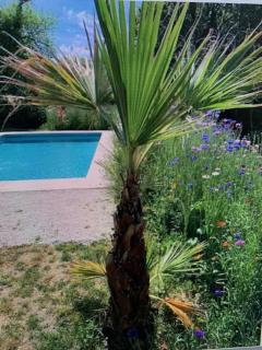 Maison avec piscine privée à côté de Sarlat La Caneda PROMO OFFRE DECOUVERTE JUILLET - Bézenac - 8