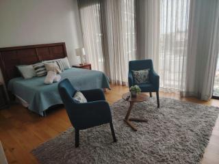 Modern and comfortable - Guadalajara - 1