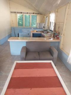 Baby turtles home - 2