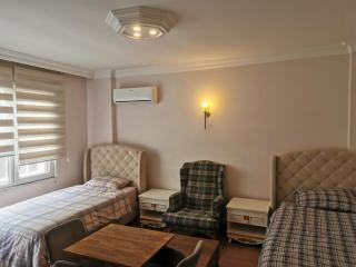 Spacious and convenient, calm environment - Istanbul - 1