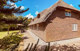 Gorgeous Home In Ulfborg With Sauna - Ulfborg - 9