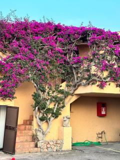 Studio In The Gulf of Marinella - Marinella - 9