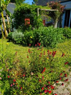 Artist's house for rent - Guérande - 9