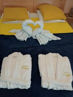 Le Cocon de l'Oranger - Le Moule - 4