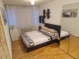 Am Gifizsee 3 Zim Apartment für Familien - Offenburg - 8